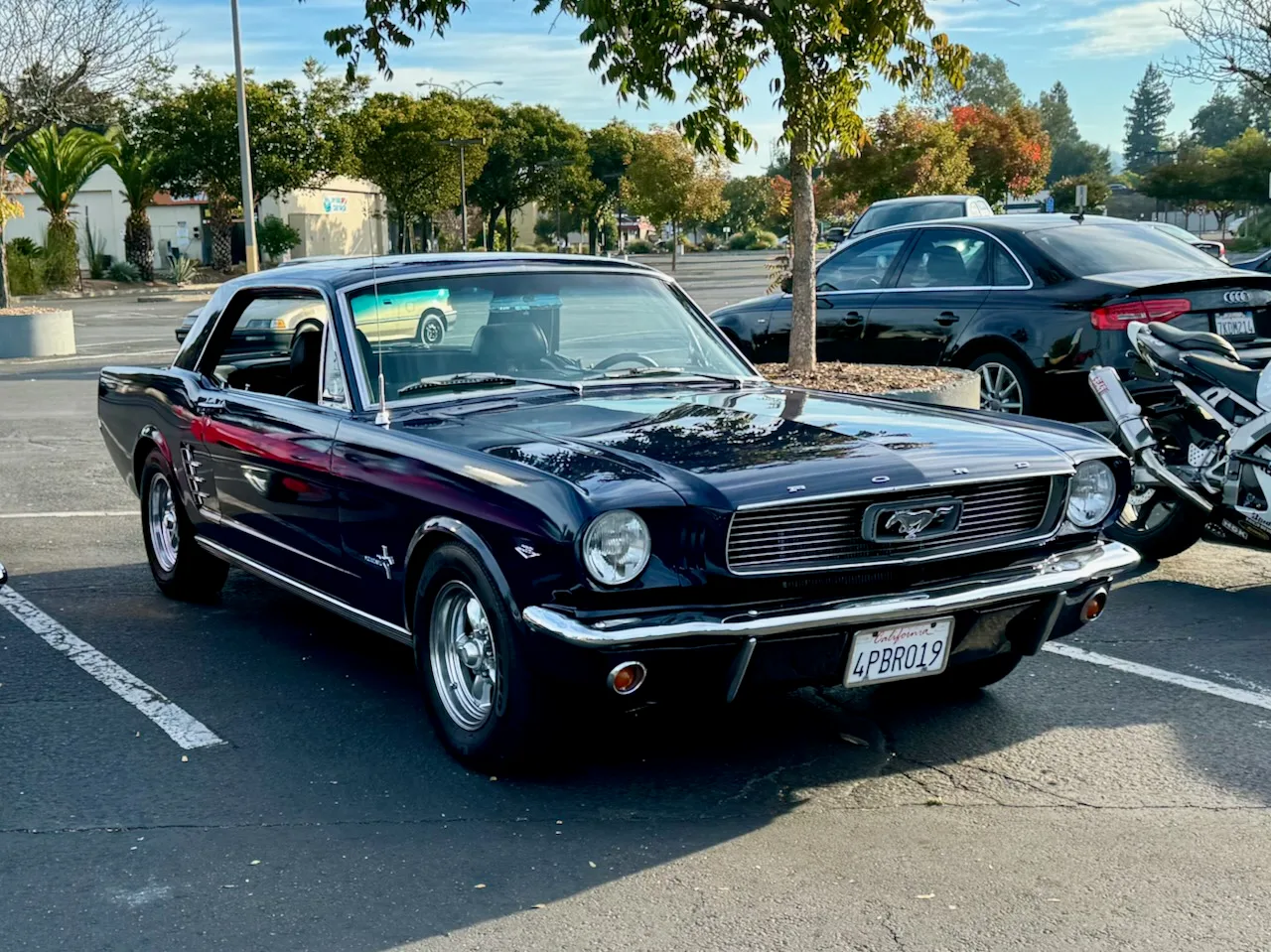 Santa Rosa Cars and Coffee November 2023